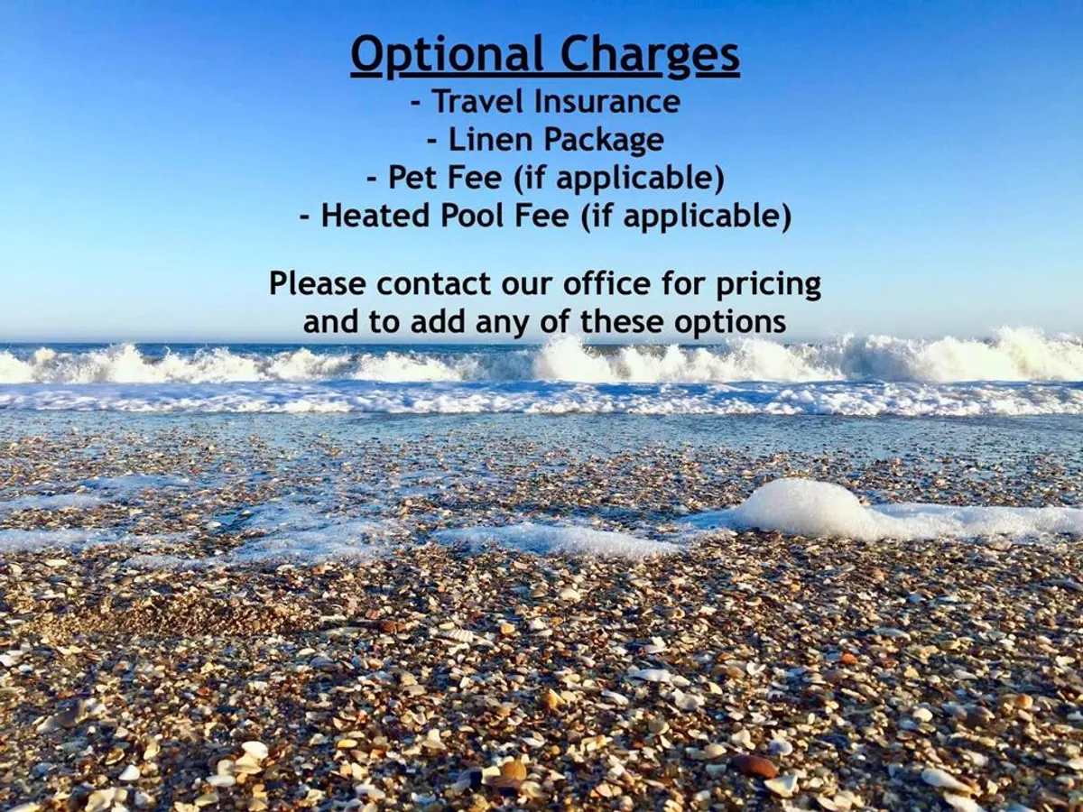 Waves gently crash on the shore under a clear blue sky, with shells scattered along the sandy beach. The setting is peaceful and natural, evoking the sense of freedom and exploration that a dog-friendly beach vacation offers.